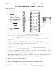 AdvHBio Ch 10 DNA Worksheet 1 Name Period Date DNA The Molecule