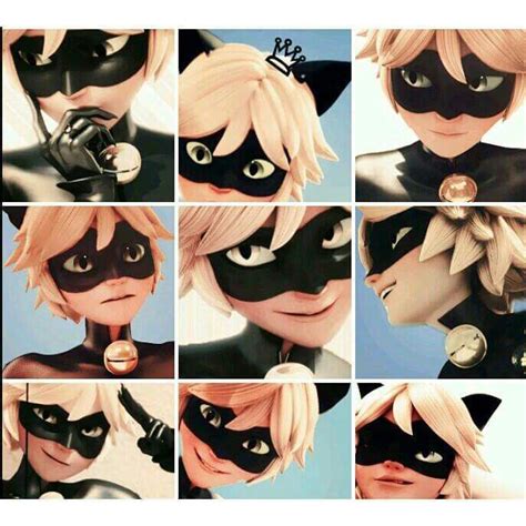 Chat Noir🐱 Wiki •miraculous Ladybug Español• Amino