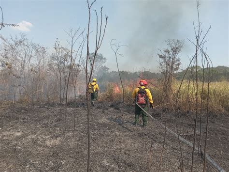 Arévalo Declara Estado De Calamidad Por Incendios Forestales En Guatemala