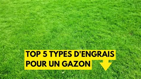 Meilleurs Types D Engrais Pour Un Gazon Guide Du D Butant