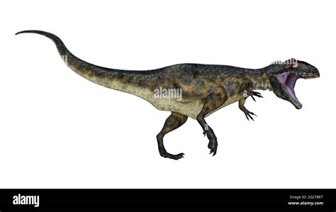 Dinosaurio Giganotosaurus Fotografías E Imágenes De Alta Resolución Alamy