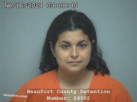 Renee Elizabeth Gonzalez 02 16 2024 Beaufort County Mugshots Zone