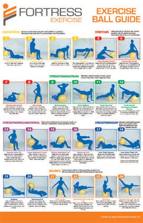 small yoga ball exercises for beginners guide