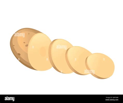 Fresh Raw Unpeeled Potatoes With Chopped Rings Vector Illustration