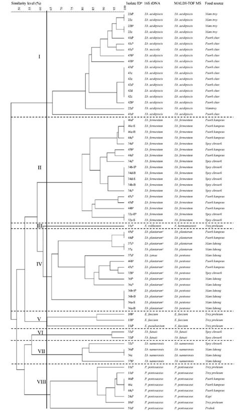 Dendrogram Based On Cluster Analysis Of Rep Pcr Gtg Fingerprints