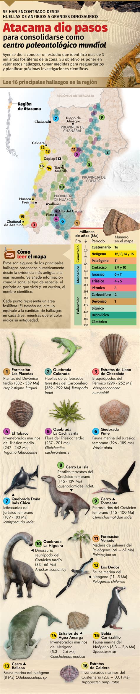 Los Principales Hallazgos Paleontol Gicos En Atacama Que Permiten