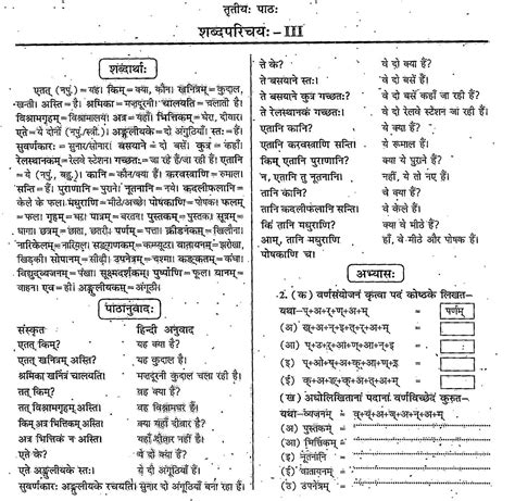 Ncert Solutions For Class 6 Sanskrit रुचिरा भाग 1 Chapter 3 शब्दपरिचय Iil Ncert Board