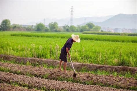 农民工常年在外打工，农村土地会被征收，真的吗？ 知乎