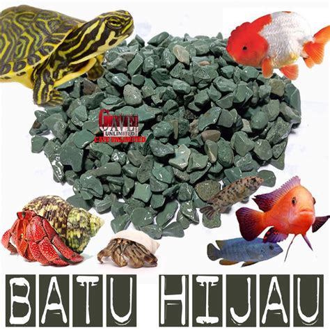 Jual Batu Hias Alam Hijau Kerikil Koral Stone Substrat Alas Kandang