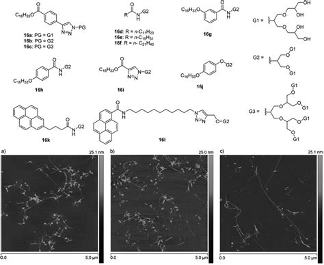 Molecular Structures Of Amphiphiles 16a16l Used For Isolation And