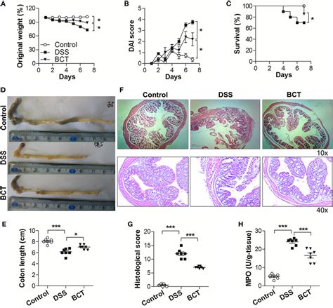 Frontiers Upregulation Of Intestinal Barrier Function In Mice With