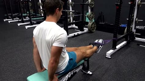 Anterior Tibialis Raise Banded Seated Youtube