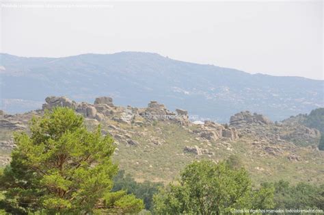 Foto Parque Regional De La Cuenca Alta Del Manzanares 59