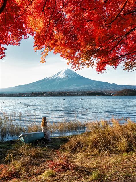 一度は見たい！富士山と紅葉の絶景🍁 Kyoko1903が投稿したフォトブック Lemon8