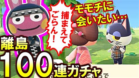 あつ森モモチに会いた過ぎてみんなモモチに見えてくる100連住民離島ガチャあつまれどうぶつの森 Youtube