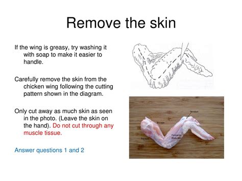 Ppt Chicken Wing Dissection Powerpoint Presentation Free Download