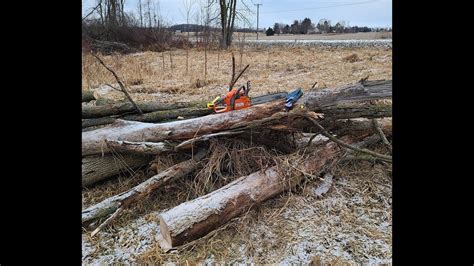 Tools And Tips I Use For Cutting Dead Ash Trees For Firewood Youtube