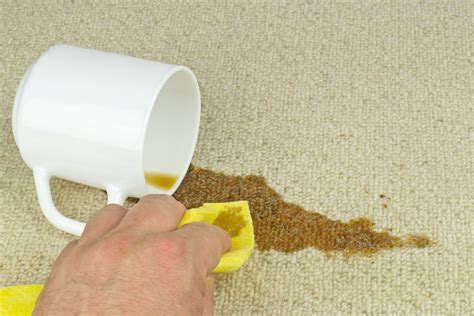 Professional carpet cleaning tips – how to tackle spills