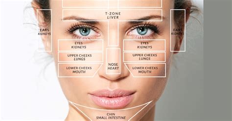 Chinese Face Mapping Chart - PELAJARAN