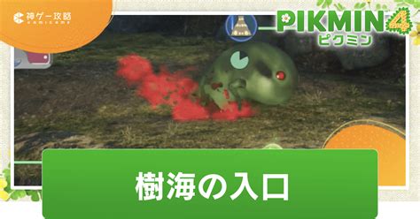 【ピクミン4】夜の探索のやり方と攻略【pikmin4】 神ゲー攻略