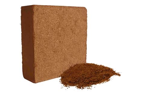 Brown Square Low Ec Cocopeat Block Kg For Home Packaging Type