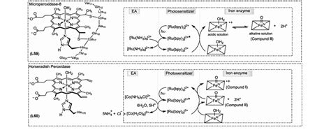 Examples of generation of high-valent metalloenzymes by a multi ...