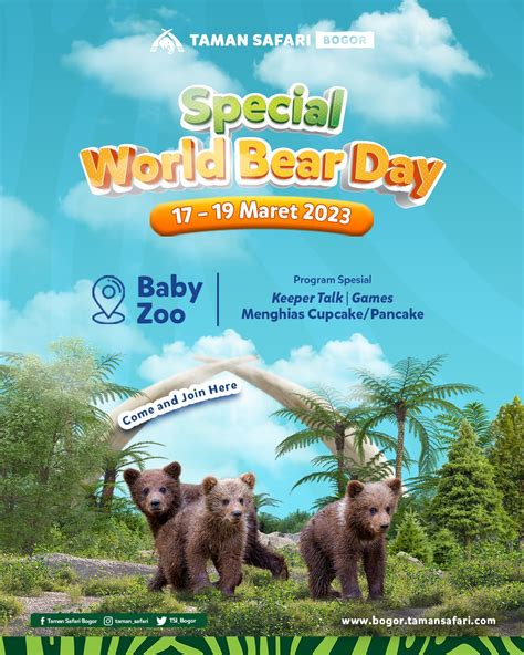 World Bear Day Ini Event Seru Di Taman Safari Bogor Koran