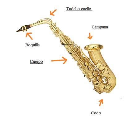 Todas Las Partes Del Instrumento Saxof N Resumen Im Genes