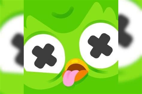 Muere Duo La Mascota De Duolingo Y Sorprende En Redes E Consulta