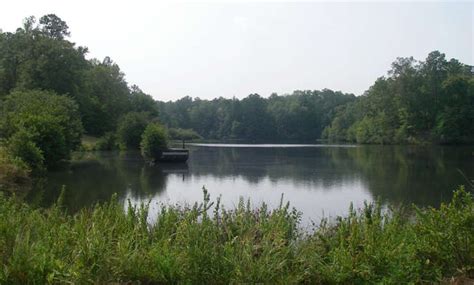 Talladega National Forest | National Forests in Alabama