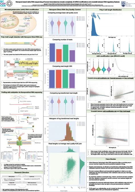 Nanopore Based Native Rna Sequencing Of Human Transcriptomes Reveals