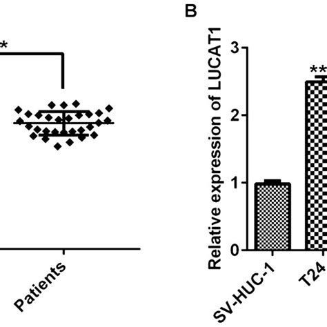 Lucat1 Is Up Regulated In Metastatic Bladder Cancer A Real Time Pcr