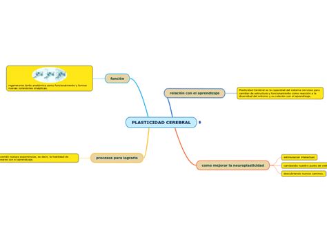 Plasticidad Cerebral Mind Map