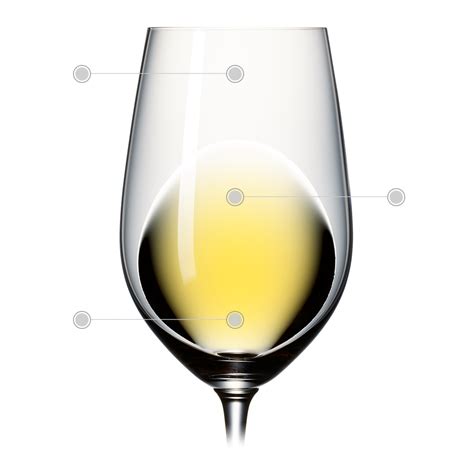 harveys medium dry sherry harveys