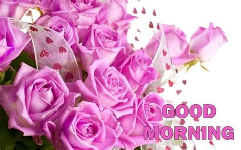 Good Morning With Purple Flowers ! - Good Morning Wishes & Images