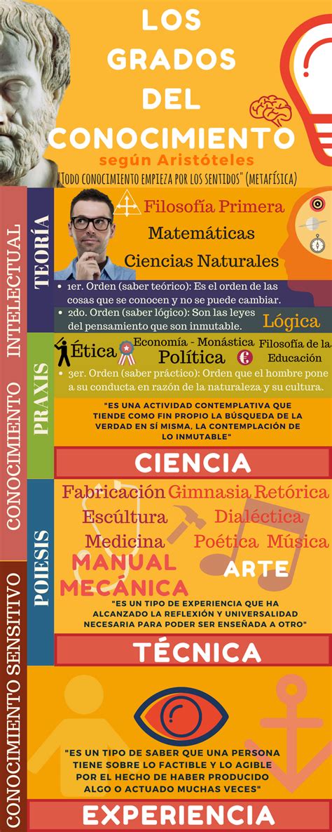 Infografia Sobre Los Grados Del Conocimiento Según Aristóteles