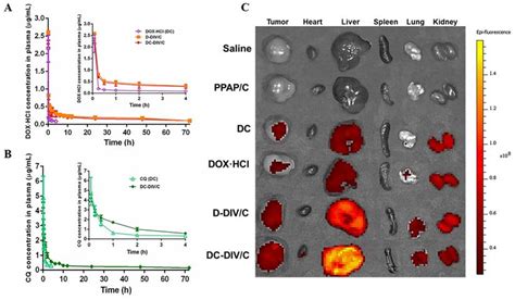 Drug Induced Self Assembled Nanovesicles For Doxorubicin Resistance