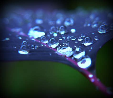 Hintergrundbilder Morgen Rot Makro KUNST Natur Wasser Regen