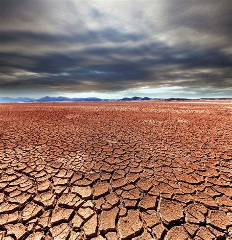 Le Mega Ondate Di Calore Arriveranno A Causa Delle Temperature Estreme