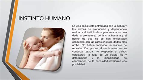 Instinto Y Sexualidad Humana Ppt