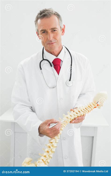 Confident Doctor Holding Skeleton Model In Office Stock Photo Image