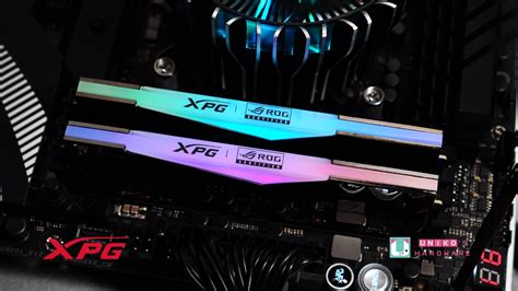 Xpg Lancer Rgb Rog Certified Ddr Uniko S Hardware