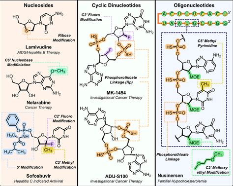 Structures Of Nucleoside Cyclic Dinucleotide And Oligonucleotide