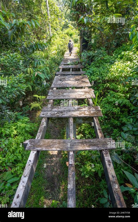 Dangerous Pathway Jungle Hi Res Stock Photography And Images Alamy