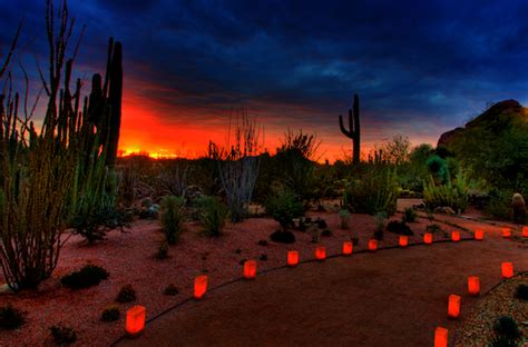 Las Noches de las Luminarias at Desert Botanical Garden