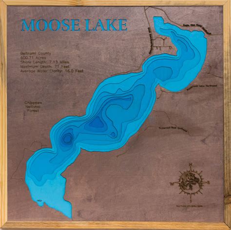 Moose Lake In Beltrami County Mn Horn Dog Maps