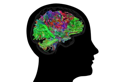 brain books  brain charity