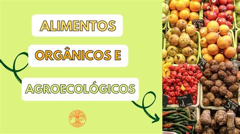 Alimento Org Nico E Agroecol Gico Tem Diferen A Youtube