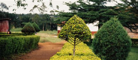 Inspire - The Next 500 Future Leaders of Congo