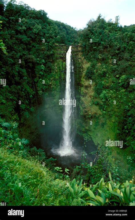 Hawaii Hilo At Akaka Falls Stock Photo - Alamy